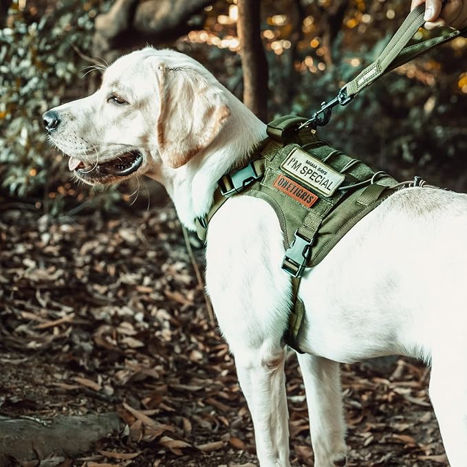 OneTigris Tactical Dog Harness Vest,No-Pull Service Dog Vest with Hook & Loop Panels,Adjustable Dog Vest Harness for Walking Hiking Training(Green,XXS)