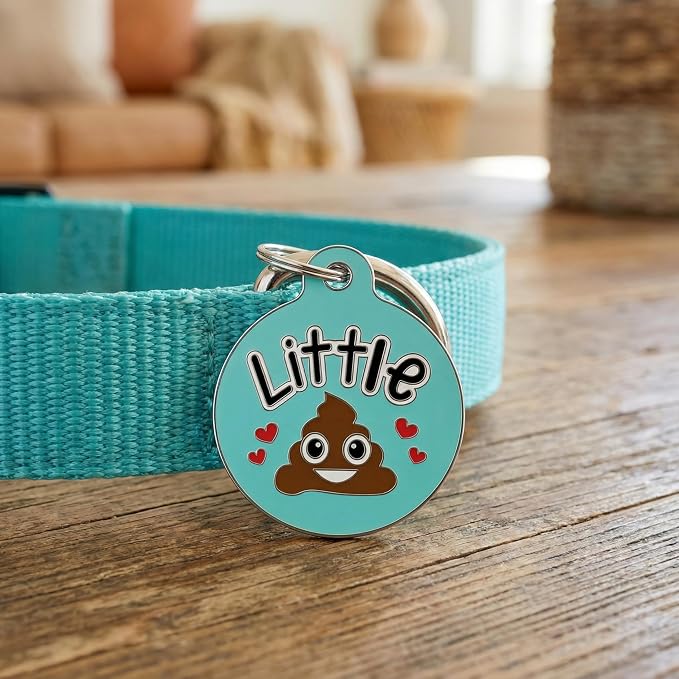 Bad Tags Personalized Dog and Cat ID Tags in 25+ Designs and 2 Sizes - 5 Lines of Custom Engraved Text - Funny Cute Personalized Pet Tags (Little Sh*t, Large (1.25 inch))