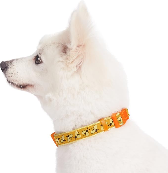 Blueberry Pet Essentials 10 Patterns Statement Busy Bees Designer Adjustable Dog Collar, Small, Neck 12"-16"