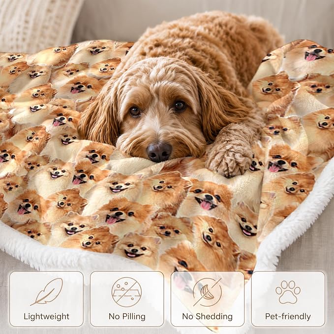 BlessLiving Pomeranian Golden Throw Blanket with Dense Dog Patterns Sherpa Fleece Blanket Couch Bed, Soft Cozy Warm Pet Blankets for Puppy Lovers Cute Animal Print Gift 60x80 Inches