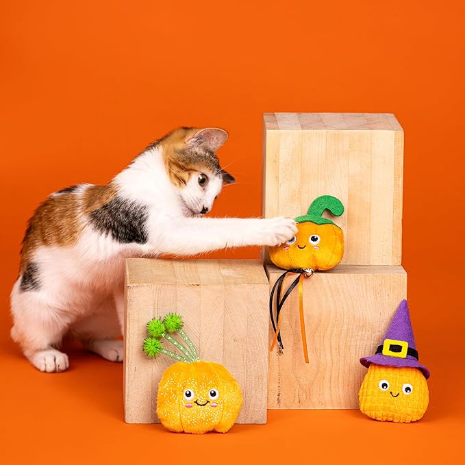 Fringe Studio Pet Toy, Witch of The Patch 3 PCS Cat Toy Mini Sets, PetShop Collection (904056)