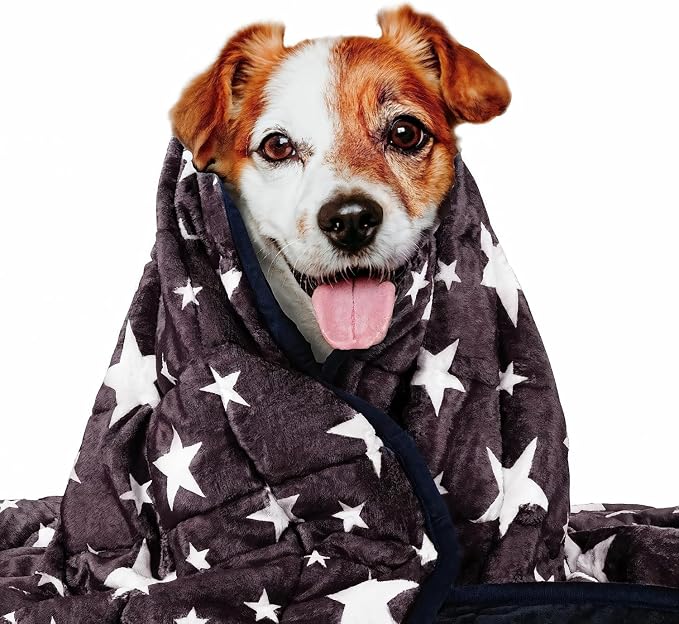 LaSyL Weighted Blanket for Pets | Thunder Blanket for Dogs Anxiety | Premium Soft Minky | Relaxation & Calming & Anti Anxiety | Used in Car, Bed, Couch | Blue Grey Star, Washable Small (24"x32")