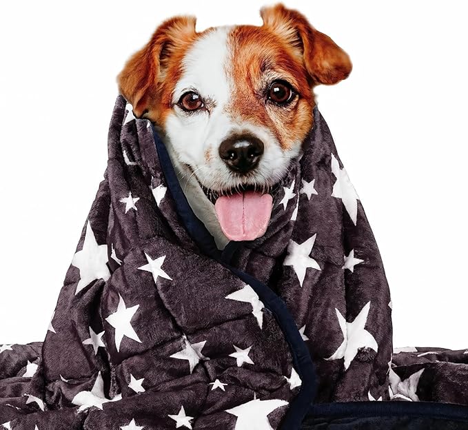LaSyL Weighted Blanket for Pets | Thunder Blanket for Dogs Anxiety | Premium Soft Minky | Relaxation & Calming & Anti Anxiety | Used in Car, Bed, Couch | Blue Grey Star, Washable Large (40"x47")