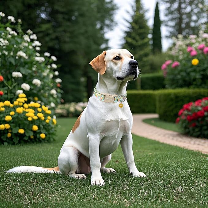 DOGWONG Flower Cotton Dog Collar, Spring Summer Cute Yellow Dog Collar Durable Soft Fabric Pet Dog Collars Female Girl Necklace for Small Medium Large Dogs