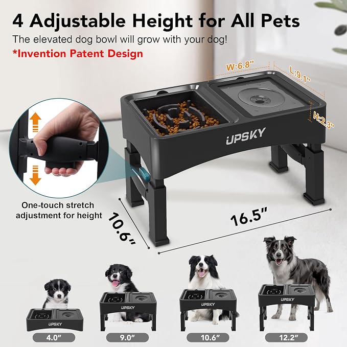 UPSKY 2-in-1 Elevated Dog Bowls Set with 4 Height Adjustable Stand, Balck | No Spill Water Bowl, Slow Food Bowl, No-Splash, Anti-Slip, Dishwasher Safe, Folding Design, Suitable for Small Medium Dogs