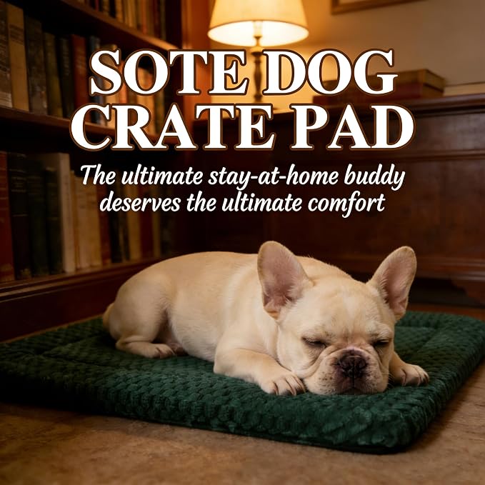 Dog Bed Mat - Durable & Cute Crate Dog Beds for Small Dogs & Cats, Comfortable Kennel Pad for Home, Crate & Travel