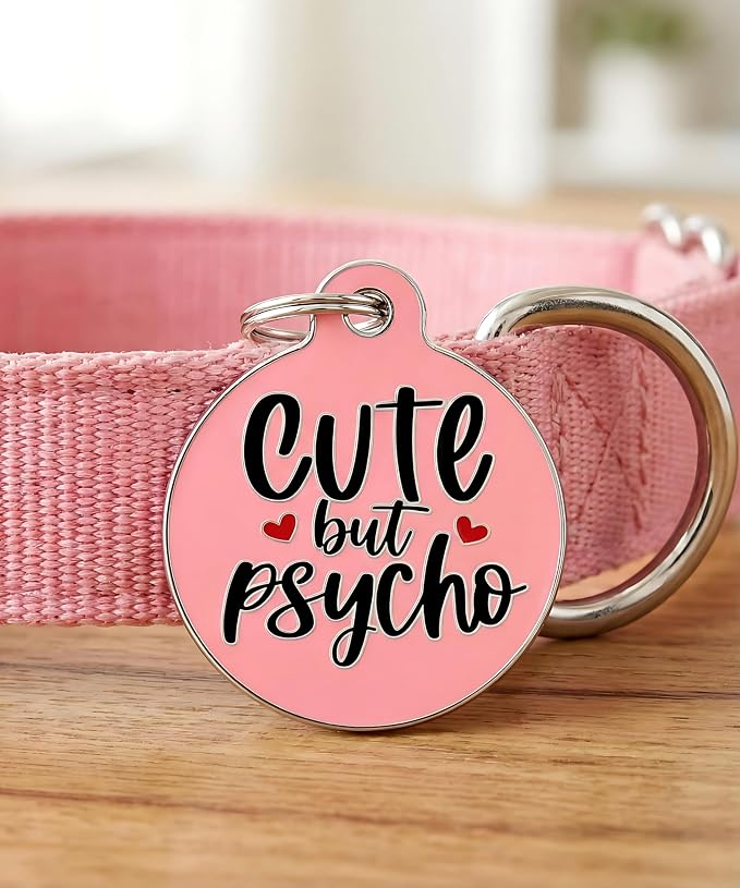Bad Tags Personalized Dog and Cat ID Tags in 25+ Designs and 2 Sizes - 5 Lines of Custom Engraved Text - Funny Cute Personalized Pet Tags (Cute But Psycho, Small (1 inch))