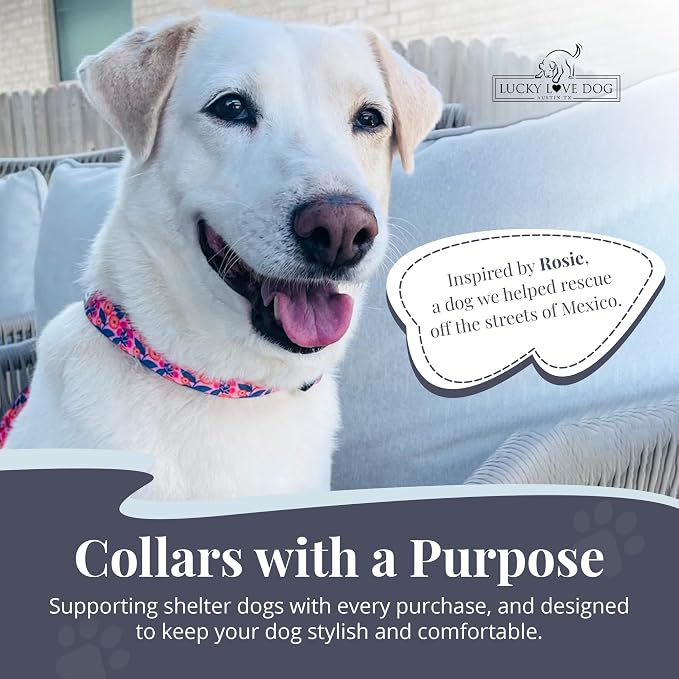 Lucky Love Dog - Adjustable Dog Collar with Easy Click Buckle for Small Dogs, Durable, & Comfortable for Male & Female Dogs, Pet Collar for Puppies & Adult Dogs - Rosie, Small
