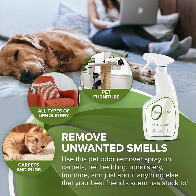 Zero Odor Pet Odor Eliminator Spray for Dog & Cat Urine, Carpet Deodorizer | Enzyme free, Urine Smell Eliminator for Pet Beds, Litter Areas & Furniture, 16 FL OZ