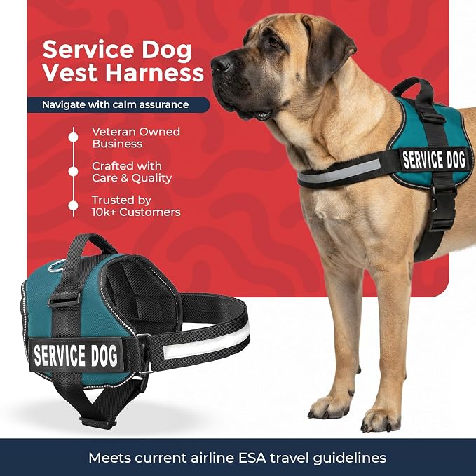 Industrial Puppy Service Dog Vest Harness - Durable & Adjustable Vest for Dog with Reflective Straps, Removable Patches, 50 ADA Cards, Handle & D-Ring, Travel and Daily Use, (Teal, XL 30"-39")