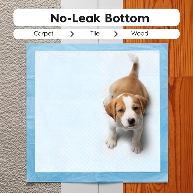 IRIS USA Puppy Pads 100 Count, Dog Training Pads 22"x22", Super Absorbent Leakproof Pee Pads for Dogs, Quick Dry Disposable Potty Training Supplies