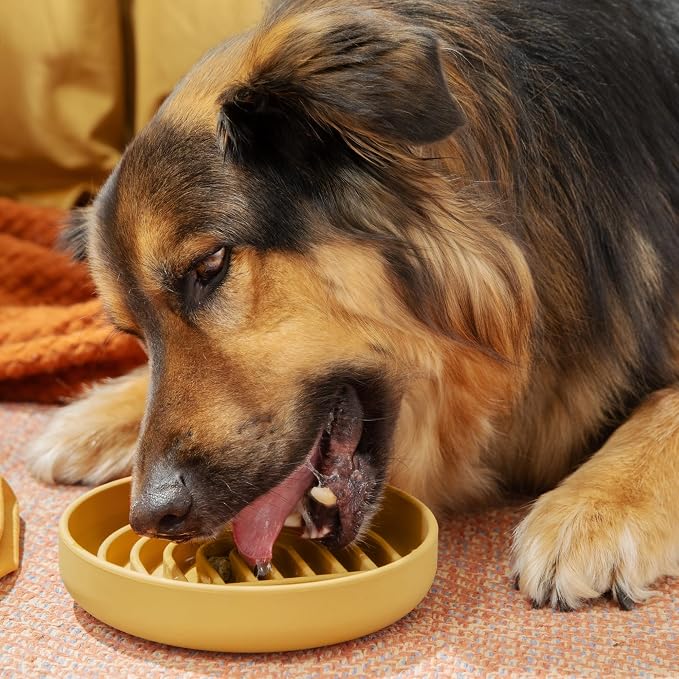 Should We Go? Slow Feeder Dog Bowls - Medium Size Silicone Slow Eating Dog Bowl for Puppies & Dogs with Suction Cup -Dishwasher-Safe, Lick Mat Design, Reduces Gulping,for All Breeds,7.5”x1.5”- Honey