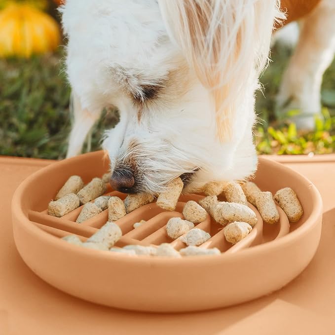 Should We Go? Slow Feeder Dog Bowls - Small Size Silicone Slow Eating Dog Bowl for Puppies & Dogs with Suction Cup -Dishwasher-Safe,Lick Mat Design,Reduces Gulping,for All Breeds, 6”x1.25”-Terracotta
