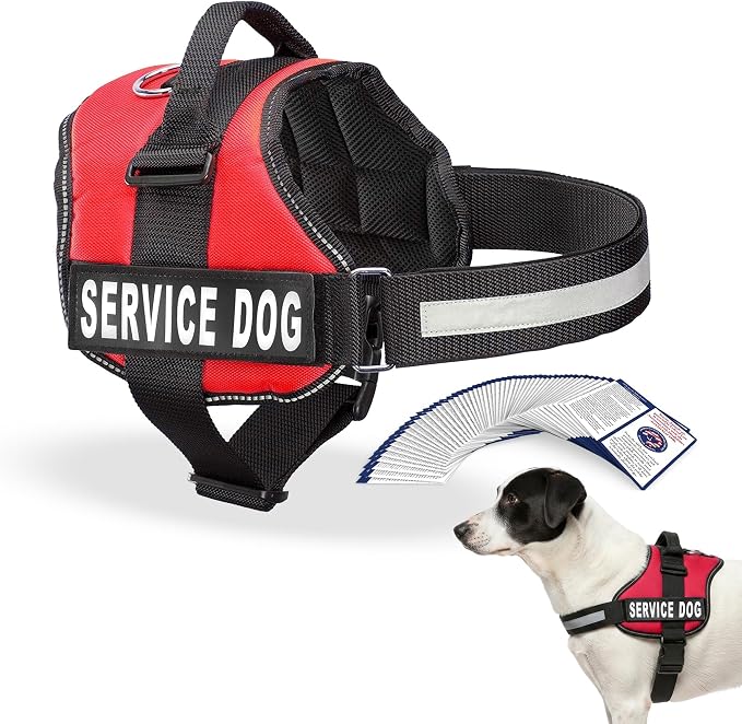 Industrial Puppy Service Dog Vest Harness - Durable & Adjustable Vest for Dog with Reflective Straps, Removable Patches, 50 ADA Cards, Handle & D-Ring, Travel and Daily Use, Bright Red, Medium 25"-32"