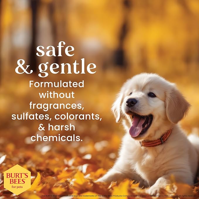 Burts Bees Tearless Puppy Shampoo & Conditioner with Buttermilk, 16 Fl Oz | Gentle 2-in-1 formula cleans and conditions sensitive puppy skin and coat, tearless for easy bath time