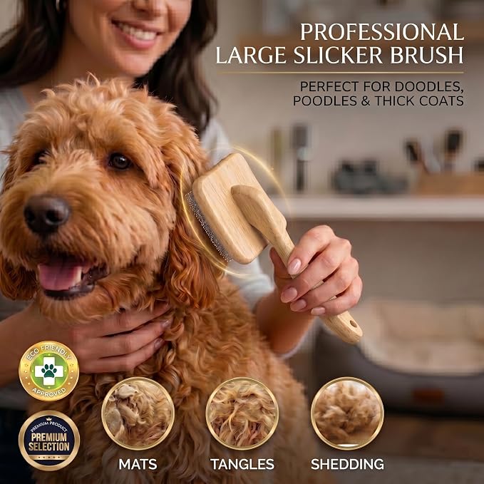 Slicker Brush for Dogs, Professional Dog Grooming Brush Kit 4PCS | Doodles Brush for Goldendoodles Poodles, Long Pin Haired Brush, Easy to Daily Detangling to Prevent Matting