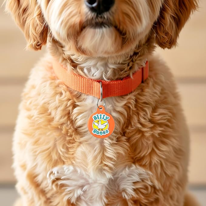 Bad Tags Personalized Dog and Cat ID Tags in 25+ Designs and 2 Sizes - 5 Lines of Custom Engraved Text - Funny Cute Personalized Pet Tags (Silly Goose, Large (1.25 inch))
