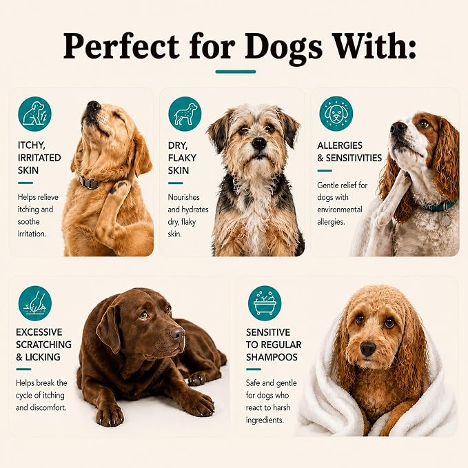 Natural Dog Company Sensitive Skin Dog Shampoo – Hypoallergenic Oatmeal Anti Itch Shampoo for Dogs, Gentle Puppy & Dog Wash with Aloe Vera, Manuka Honey & Chamomile, Odor Control, 12 oz