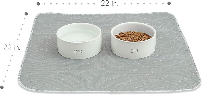 rocket & rex Grey Washable Reusable Pee Pads, Leak-Proof (22x22, 4pk) | For potty training, whelping & crate lining. OEKO-TEX, chemical-free.