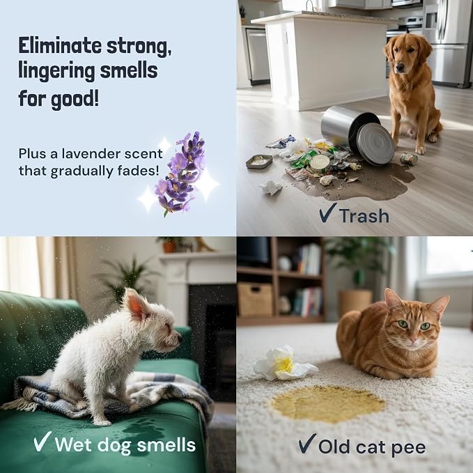 Sunny & Honey Pet Stain and Odor Remover Spray for Carpets, 32floz Lavender | USA Made - Enzyme Cleaner for Dog Urine & Poop - Eliminates Set In Stains - Color Safe - For Rugs, Furniture & Car Seats