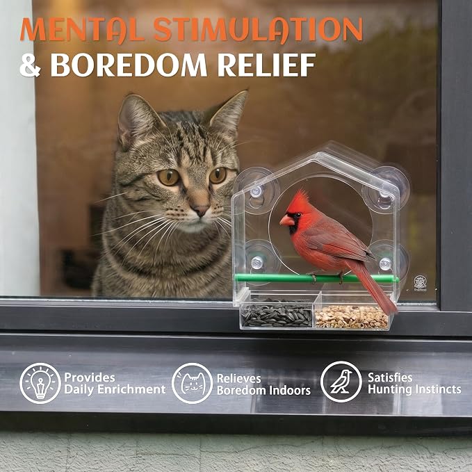 Cat Window Bird Feeder for Indoor Cats, Bird Watching TV for Cats | Clear Acrylic Outdoor Bird Feeding Station with Strong Suction Cups for Enrichment, Mental Stimulation & Boredom Relief