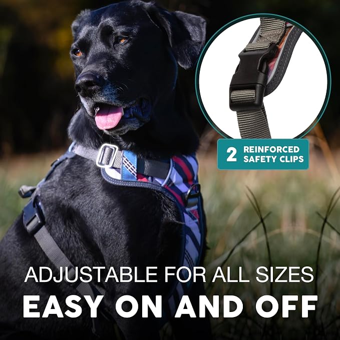 Embark Adventure Dog Harness for Small, Medium & Large Dogs – No Pull, Reflective Trim, Heavy Duty Oxford, 2 Leash Clips, Gel-Lined Handle, Soft Padded