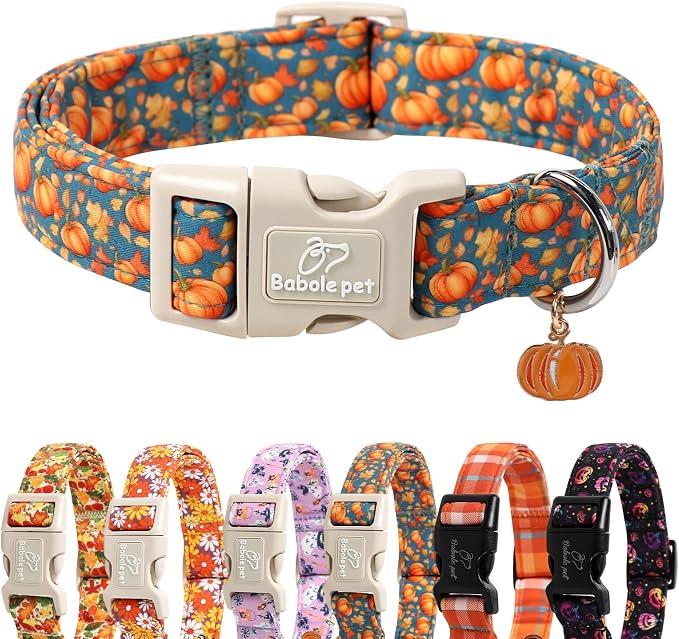 Fall Dog Collar Cute Autumn Pumpkin Puppy Collar - Light Comfortable Adjustable Pet Collars for Small Medium Large Girl Boy Dogs S