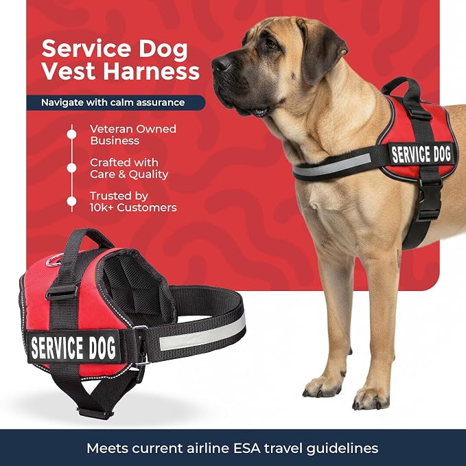 Industrial Puppy Service Dog Vest Harness - Durable & Adjustable Vest for Dog with Reflective Straps, Removable Patches, 50 ADA Cards, Handle & D-Ring, Travel and Daily Use, (Bright Red, XL 30"-39")