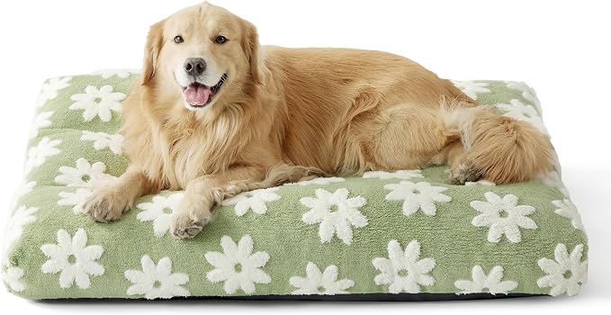 LE SURE Extra Large Dog Bed-Thick Shredded Chopped Foam Pet Bed Indoor with Removable Cover, Cute Modern Fuzzy Plush & Anti Slip Bottom, Green