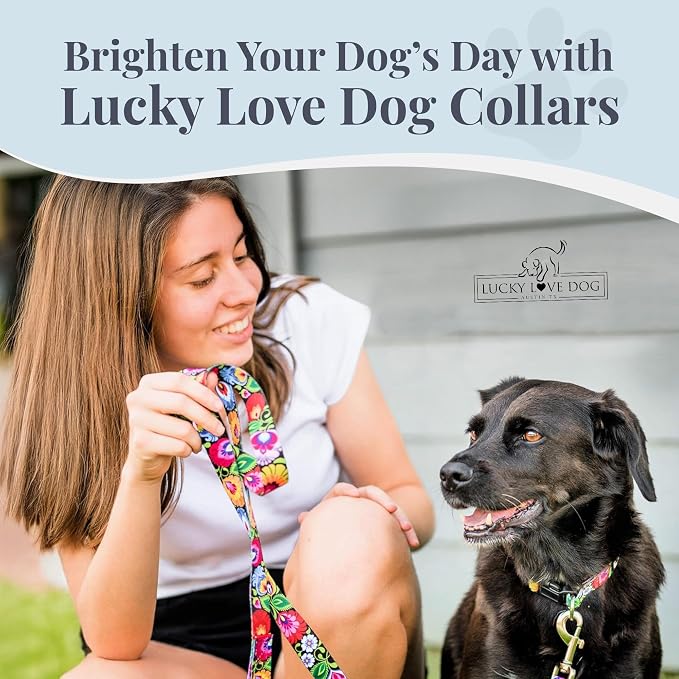 Lucky Love Dog - Adjustable Dog Collar with Easy Click Buckle for Large Ones, Durable, & Comfortable for Male & Female Dogs, Pet Collar for Puppies & Adult Dogs - Blackbird, Large