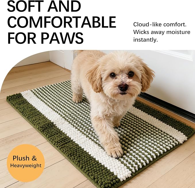 Dog Door Mat for Muddy Paws - Absorbent Quick-Dry Non-Slip Washable Chenille Pet Rug, Indoor Entryway Mat for Front Door & Crate (Green White, 30" L*18" W)