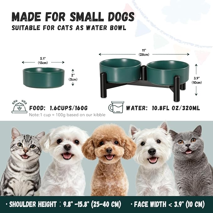 Raised Ceramic Dog Bowl Set - Elevated Double Dishes with Stainless Steel Stand - Food and Water Bowls for Small Dogs and Indoor Cats - Each Holds 1.6 Cups (10.8 fl oz) - Green