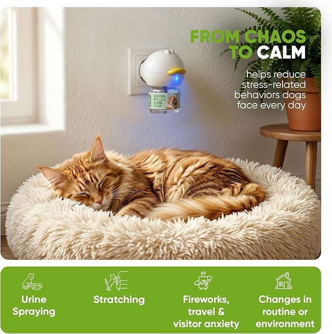 STUNICK CC1 Cat Calming Diffuser, Calming Pheromones, 60 Day Supply, 1 Diffuser and 2 Refills for Stress, Pee Spraying, Cat Fighting, Aggression, Excessive Meowing & Scratching | Odorless