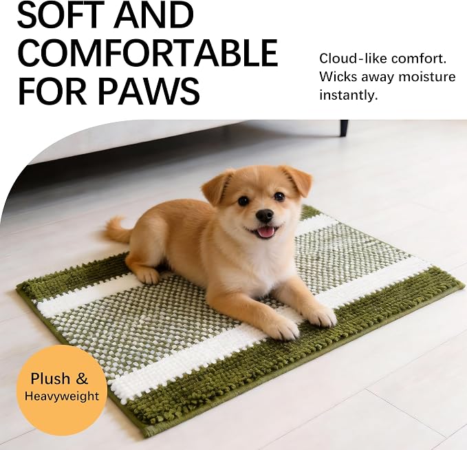 Dog Door Mat for Muddy Paws - Absorbent Quick-Dry Non-Slip Washable Chenille Pet Rug, Indoor Entryway Mat for Front Door & Crate (Green White, 24" L*16" W)