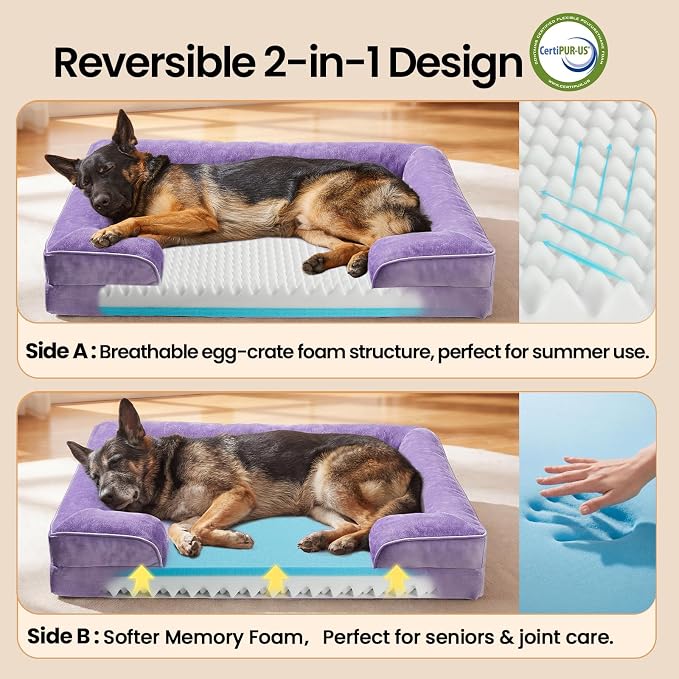 OhGeni Orthopedic Dog Bed Couch Big Cat Sofa for Extra Large Sized Pets with Memory Foam, Machine-Washable Waterproof Removable Cover, Soft Comfortable Fabric, 44-inch (Purple)