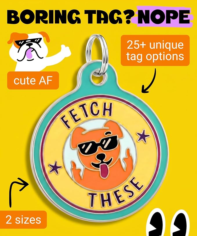 Bad Tags Personalized Dog and Cat ID Tags in 25+ Designs and 2 Sizes - 5 Lines of Custom Engraved Text - Funny Cute Personalized Pet Tags (Fetch These, Large (1.25 inch))