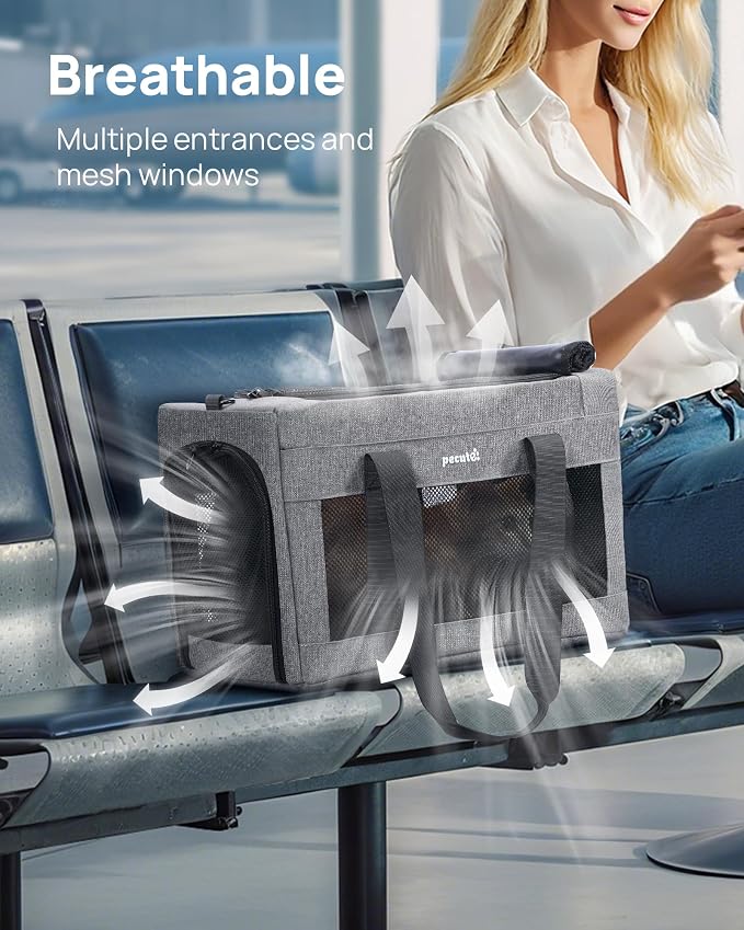 Pecute Airline Approved Cat Carrier, Pet Carrier Soft-Sided, Portable Dog Carrier with Stable Structure, TSA Approved Pet Carrier for Pets Less Than 12lbs, Cat Carrier Bag Suitable for Travel, Gray