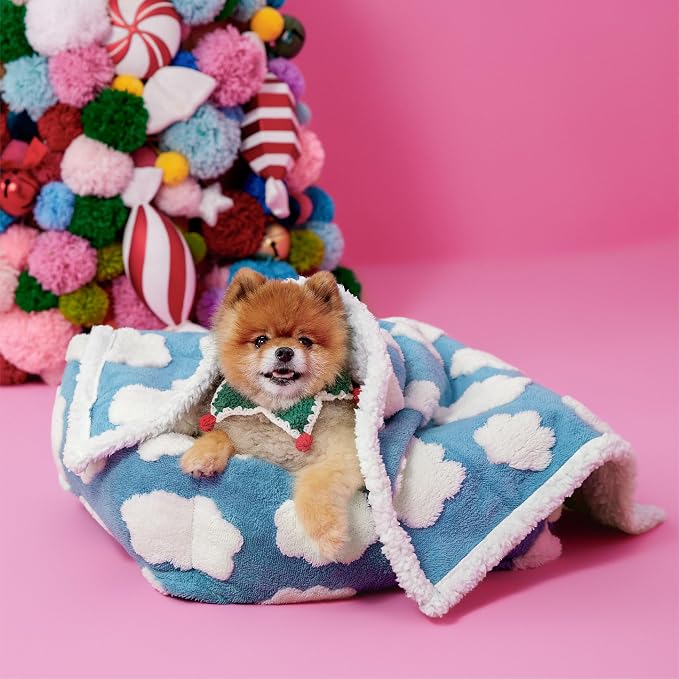 LE SURE Waterproof Puppy Blanket for Small Dogs - Washable Double Sided Dog Blankets with Warm Jacquard Shag and Soft Sherpa Fleece, Pet Cat Blanket for Couch Protection, 3D Textured Cloud, Blue