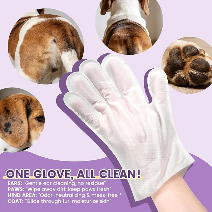 IMMHABI Hypoallergenic Pet Glove Wipes for Dogs & Cats, 50 Count | Between-Bath Freshening, Head-to-Paw Grooming, Instant-Cleaning & Deodorizing, Lick-Safe Formula, Lavender Scent