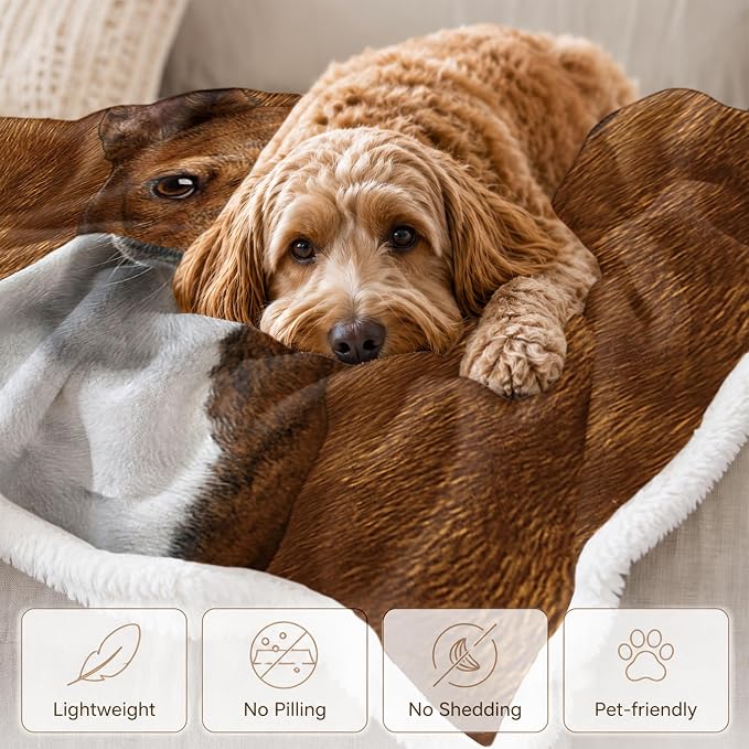 BlessLiving Basenji Brown Throw Blanket with Large Dog Patterns Sherpa Fleece Blanket Couch Bed, Soft Cozy Warm Pet Blankets for Puppy Lovers Cute Animal Print Gift 50x60 Inches