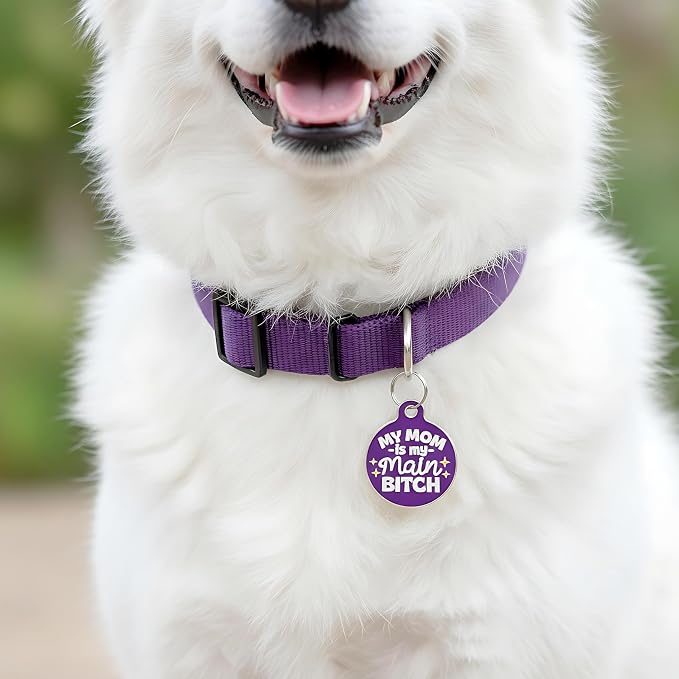 Bad Tags Personalized Dog and Cat ID Tags in 25+ Designs and 2 Sizes - 5 Lines of Custom Engraved Text - Funny Cute Personalized Pet Tags (My Mom is My Main B*tch - Purple, Small (1 inch))