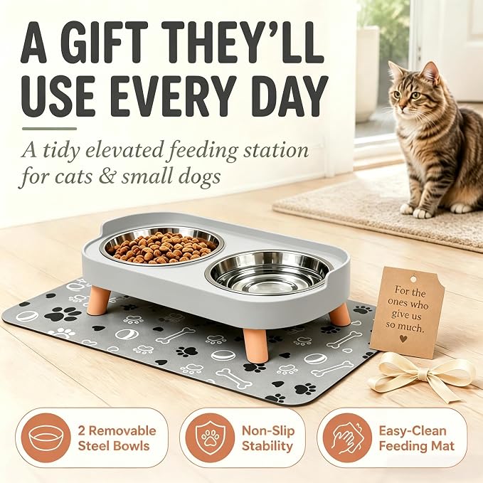 Elevated Dog Bowls with Mat, 2 Stainless Steel for Small Dogs Under 25 Lb | Raised Bowl Stand, Food & Water Set for Cats & Puppies, Splash Proof, Dishwasher Safe, Stain-Resistant Quick-Dry Mat