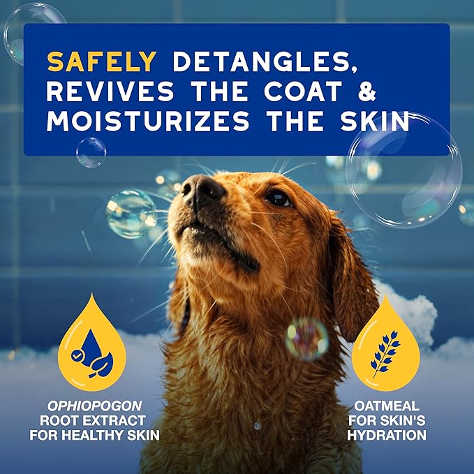 DOUXO SPA Oatmeal Dog Conditioner, 16 fl oz | Detangles and Moisturizes, Leaves the Coat Soft, Silky and Radiant, Ultra-Safe Skin-Friendly Formula