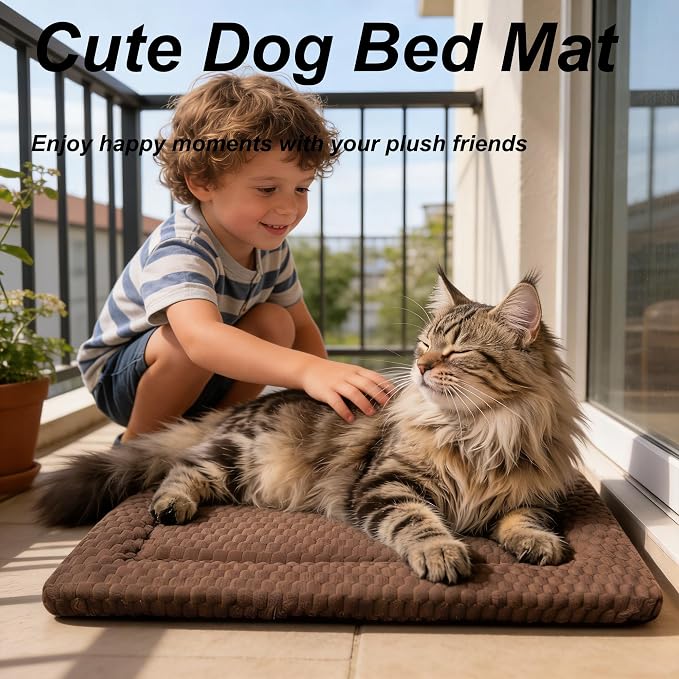 Cat Bed Mat - Durable & Cute Crate Beds for Extra Small Dogs & Cats, Comfortable Kennel Pad for Home, Crate & Travel