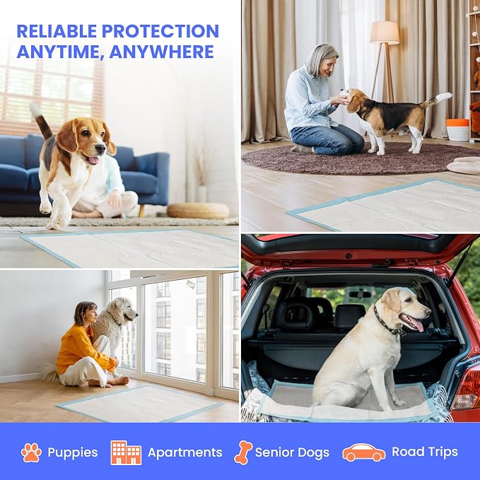 Reli. Pee Pads for Dogs XL 28x34 (60 Pack) | Puppy Training Leak-Proof | 8 Cup Absorbent Dog Pads