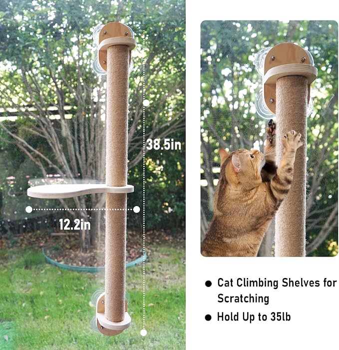 38.5in Scratching Post with Window Shelf Set | Strong Suction Cups, Easy Install，for Climbing, Sunbathing, Napping & Overlooking