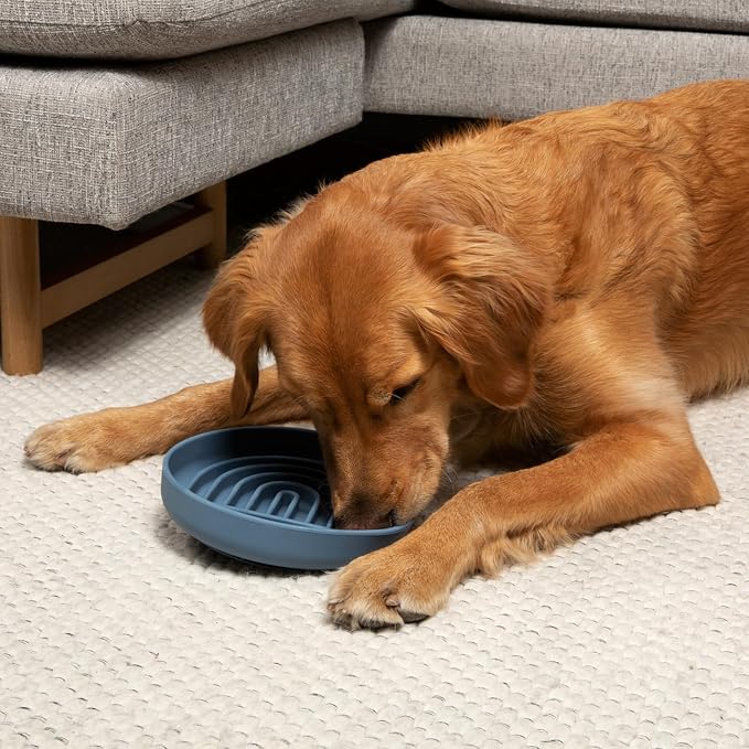 Should We Go? Slow Feeder Dog Bowls - Large Size Silicone Slow Eating Dog Bowl for Puppies & Dogs with Suction Cup -Dishwasher-Safe, Lick Mat Design, Reduces Gulping,for All Breeds,9.5”x1.5”- Ocean