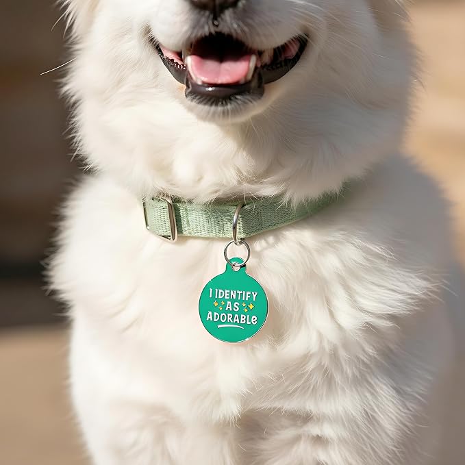 Bad Tags Personalized Dog and Cat ID Tags in 25+ Designs and 2 Sizes - 5 Lines of Custom Engraved Text - Funny Cute Personalized Pet Tags (I Identify As Adorable, Small (1 inch))
