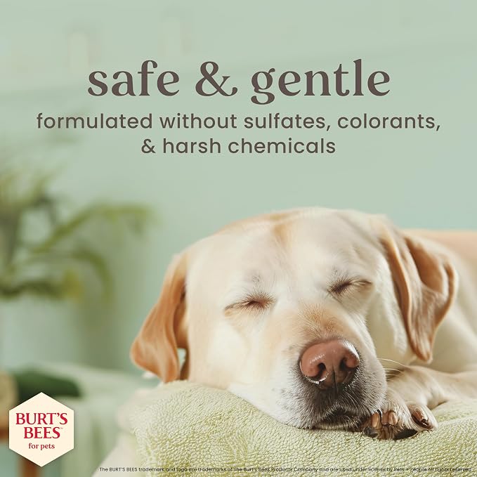 Burt's Bees Manuka Honey Oatmeal Dog Conditioner, Coconut Oil, 10 Fl Oz | Colloidal oatmeal, 95 percent natural origin, free of sulfates, parabens, and phthalates, leaves coat soft and shiny
