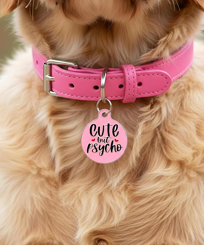 Bad Tags Personalized Dog and Cat ID Tags in 25+ Designs and 2 Sizes - 5 Lines of Custom Engraved Text - Funny Cute Personalized Pet Tags (Cute But Psycho, Small (1 inch))